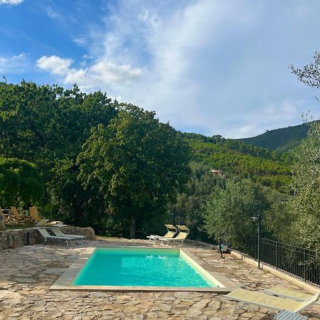 Agriturismo Campo Dei Lupi Vicopisano Extérieur photo
