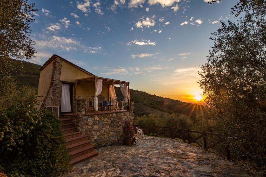 Agriturismo Campo Dei Lupi Vicopisano Extérieur photo