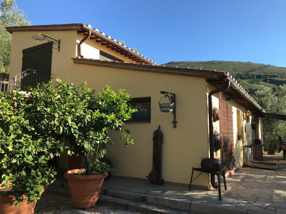 Agriturismo Campo Dei Lupi Vicopisano Extérieur photo