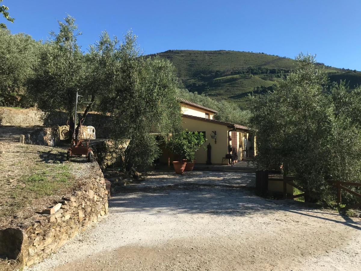Agriturismo Campo Dei Lupi Vicopisano Extérieur photo