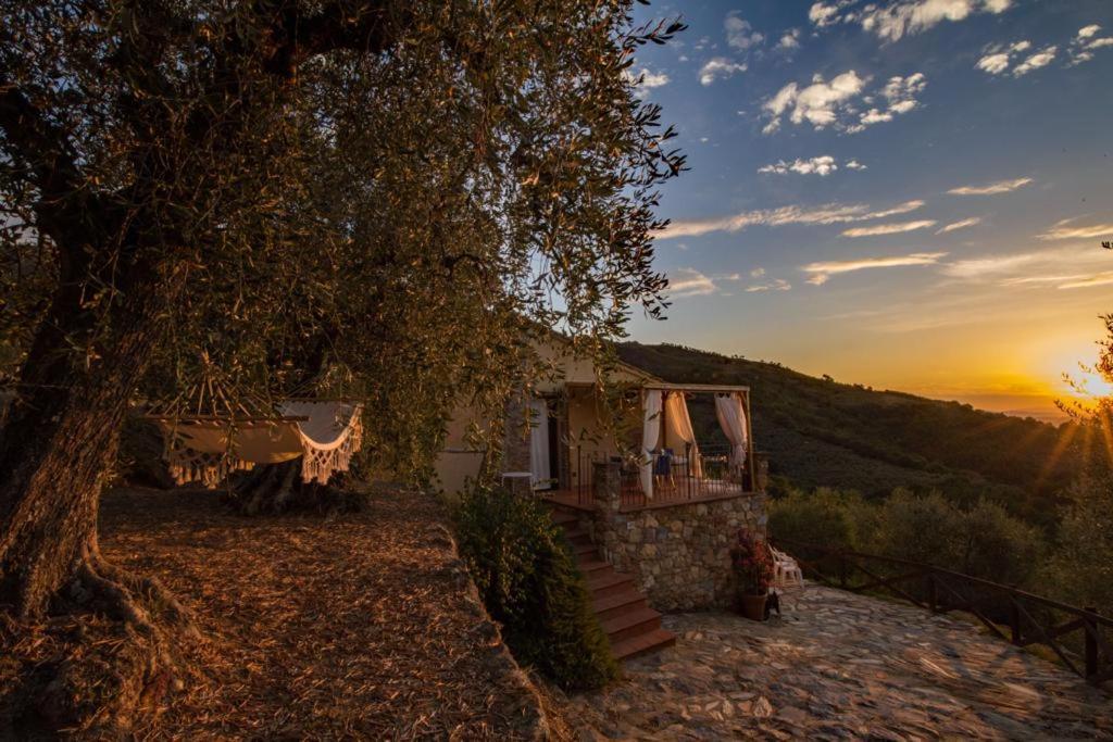 Agriturismo Campo Dei Lupi Vicopisano Extérieur photo