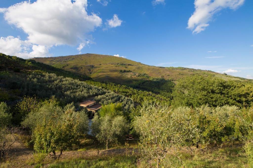 Agriturismo Campo Dei Lupi Vicopisano Extérieur photo