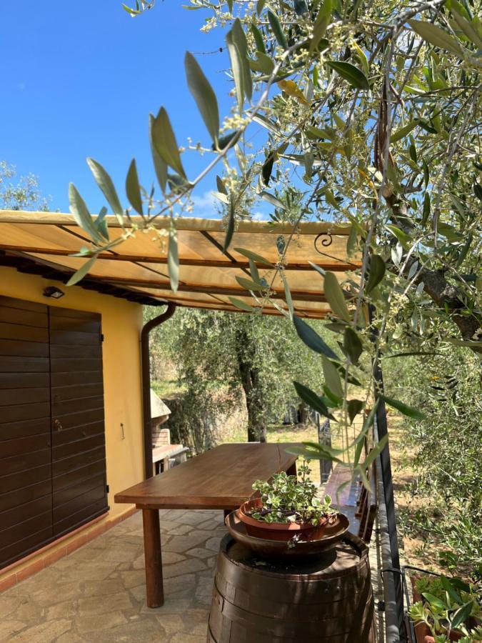 Agriturismo Campo Dei Lupi Vicopisano Extérieur photo