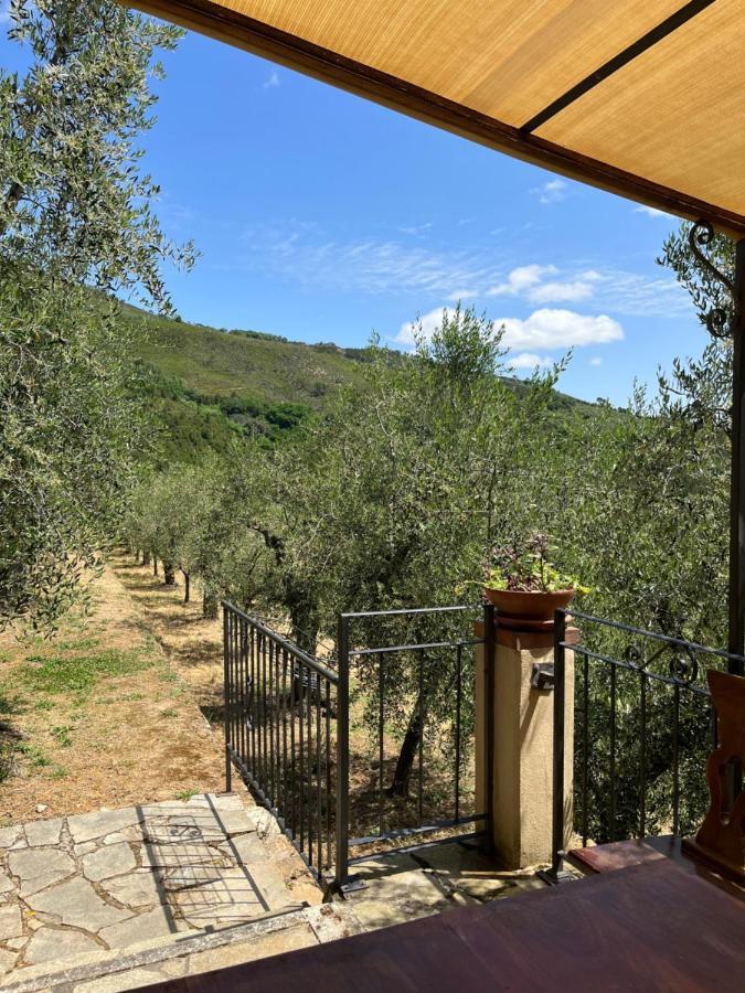 Agriturismo Campo Dei Lupi Vicopisano Extérieur photo