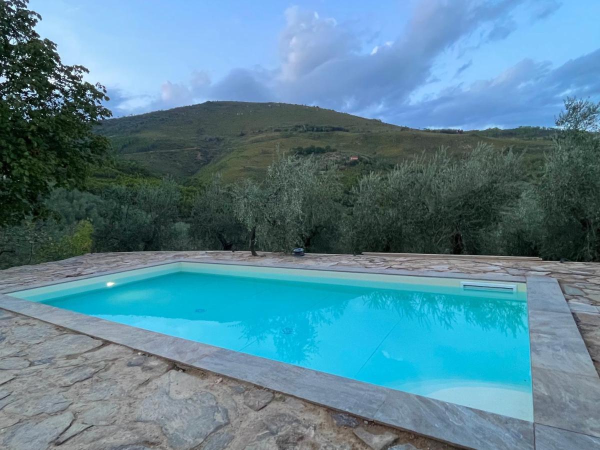 Agriturismo Campo Dei Lupi Vicopisano Extérieur photo