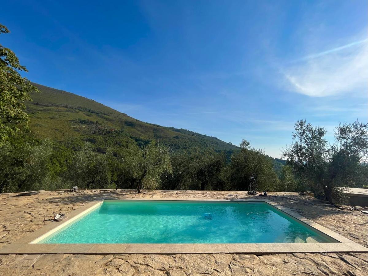 Agriturismo Campo Dei Lupi Vicopisano Extérieur photo