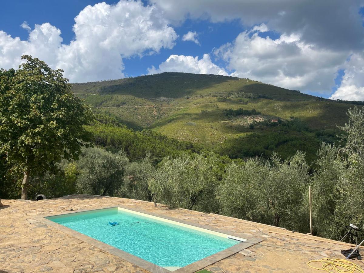 Agriturismo Campo Dei Lupi Vicopisano Extérieur photo