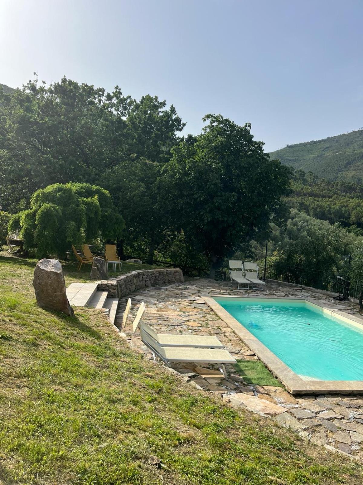 Agriturismo Campo Dei Lupi Vicopisano Extérieur photo
