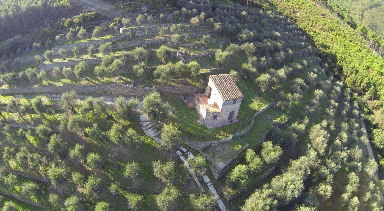Agriturismo Campo Dei Lupi Vicopisano Extérieur photo
