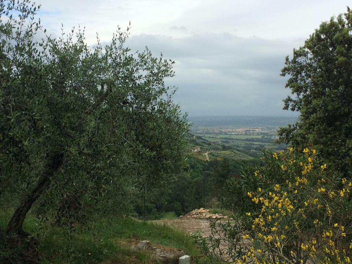 Agriturismo Campo Dei Lupi Vicopisano Extérieur photo