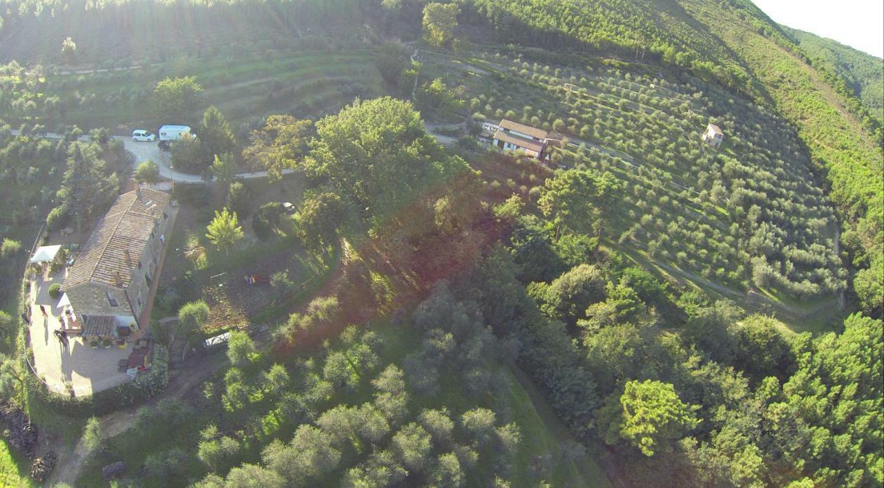 Agriturismo Campo Dei Lupi Vicopisano Extérieur photo